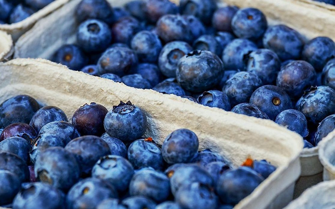 A barraca de frutas e Produtos da Fazenda em dia ensolarado